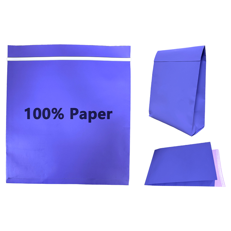 Zeal X ले उच्च क्षमता दिगो ढुवानीका लागि साइड गसेटेड रिसाइकल पेपर ब्याग लन्च गर्‍यो